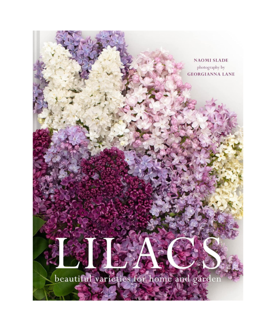 Lilacs: Beautiful varieties for home and garden