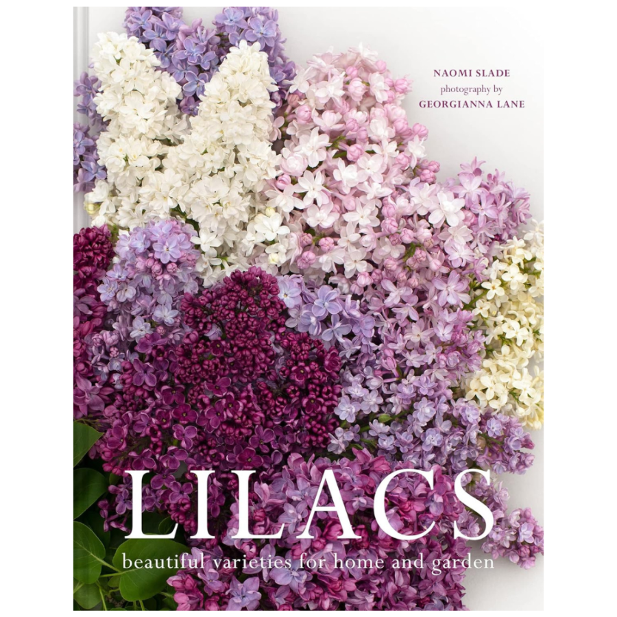 Lilacs: Beautiful varieties for home and garden